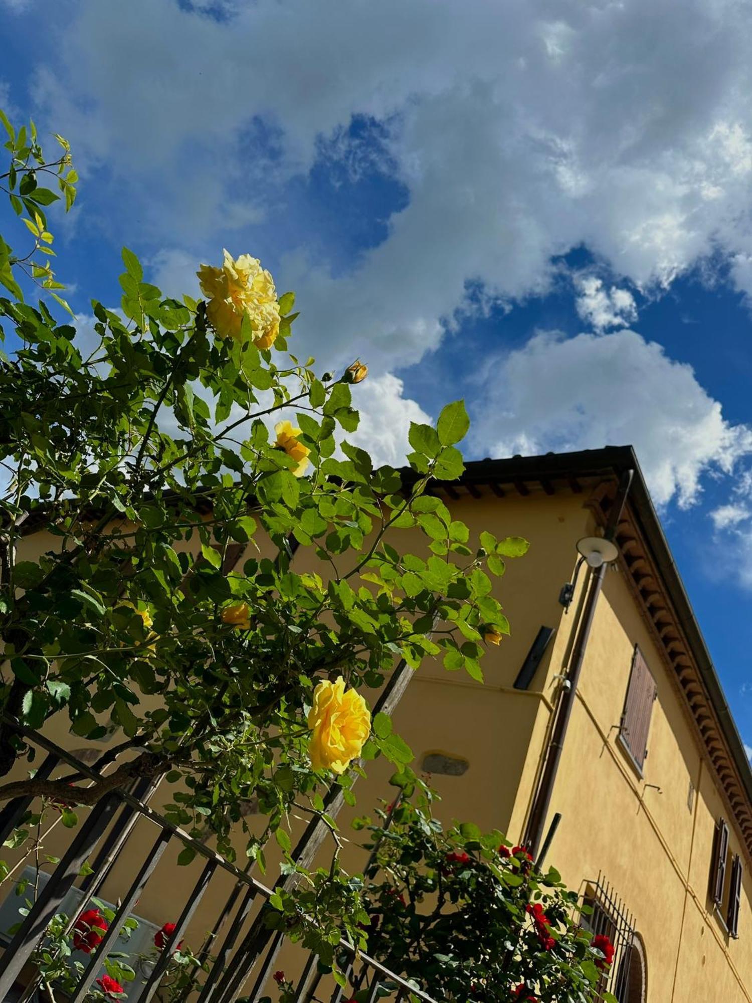 Agriturismo Casa Alle Vacche San Gimignano Bagian luar foto