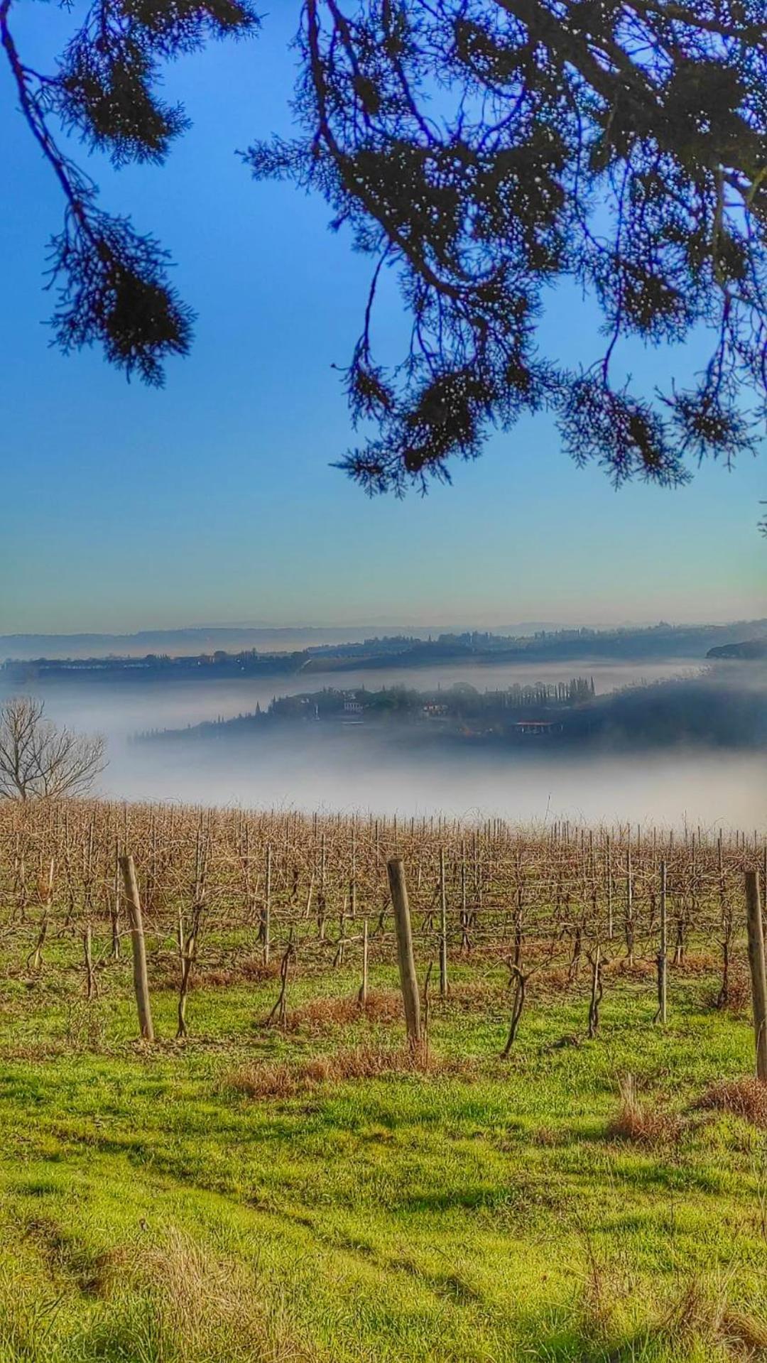Agriturismo Casa Alle Vacche San Gimignano Bagian luar foto