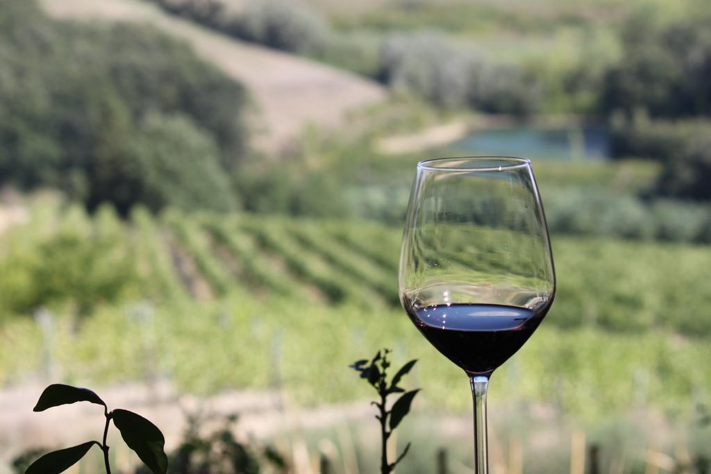 Agriturismo Casa Alle Vacche San Gimignano Bagian luar foto