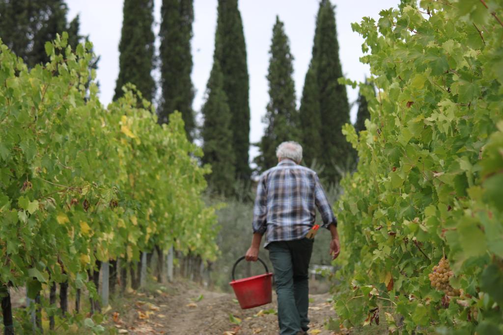 Agriturismo Casa Alle Vacche San Gimignano Bagian luar foto