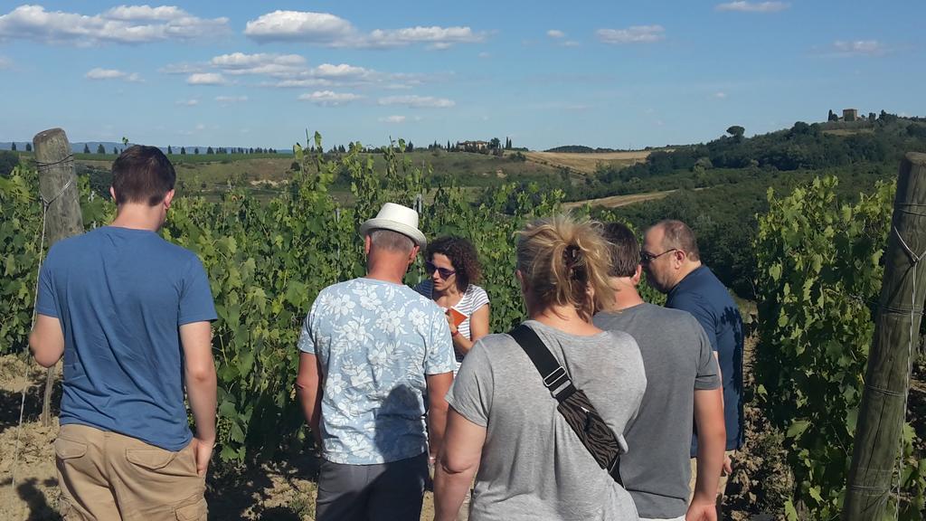 Agriturismo Casa Alle Vacche San Gimignano Bagian luar foto