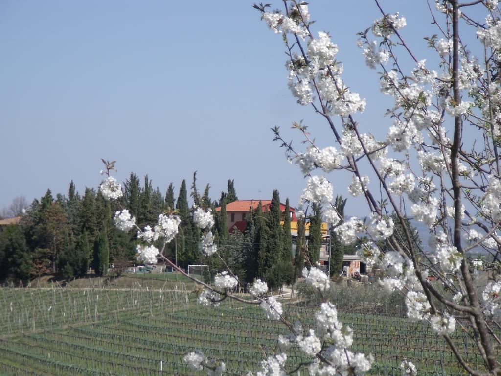 Agriturismo Casa Alle Vacche San Gimignano Bagian luar foto